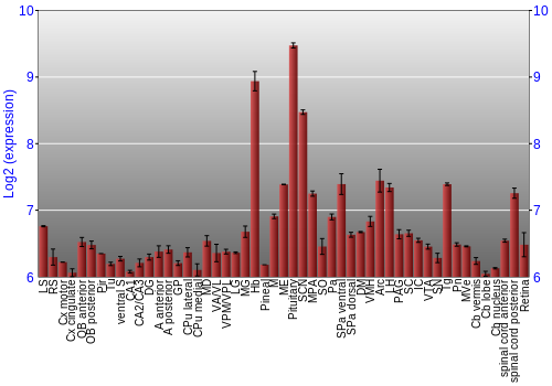 Expression graph