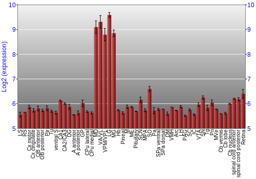 Expression graph