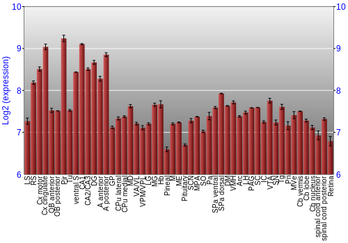 Expression graph