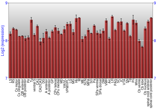 Multi-state expression graph