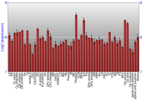 Expression graph
