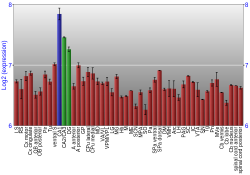 Multi-state expression graph