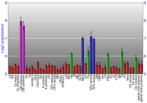 Multi-state expression graph