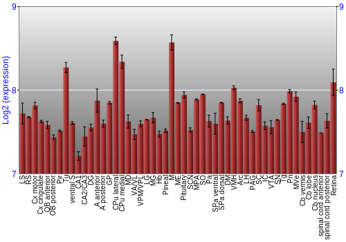 Expression graph