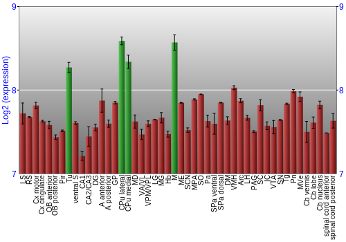 Multi-state expression graph
