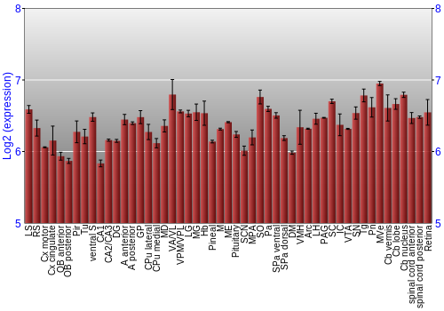 Expression graph