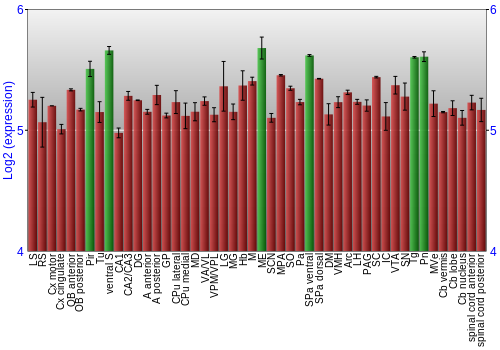 Multi-state expression graph