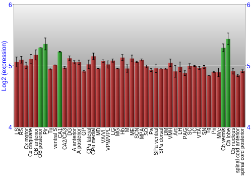 Multi-state expression graph
