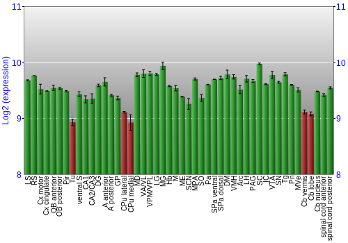 Multi-state expression graph