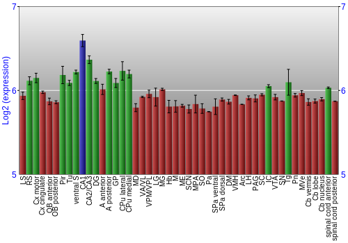 Multi-state expression graph