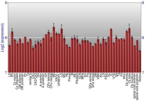 Expression graph