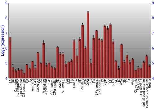 Expression graph