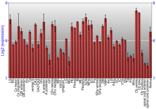 Expression graph