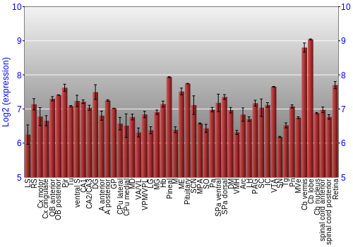 Expression graph