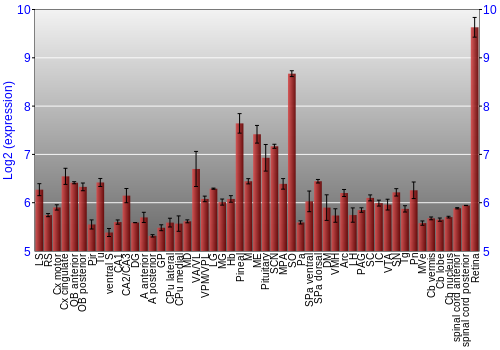 Expression graph