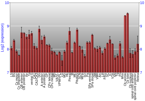 Expression graph