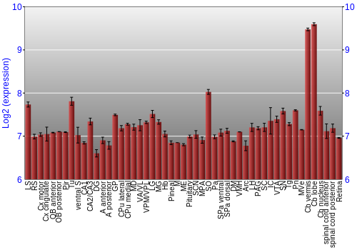 Expression graph