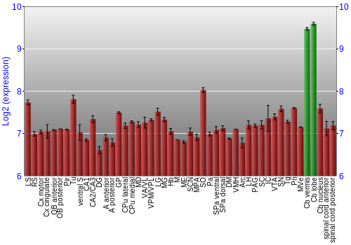 Multi-state expression graph