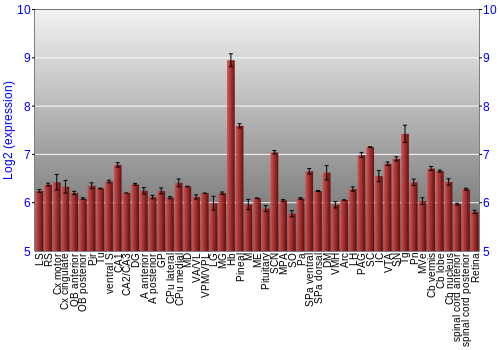 Expression graph