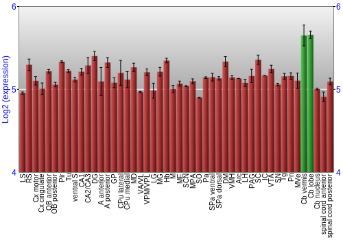 Multi-state expression graph