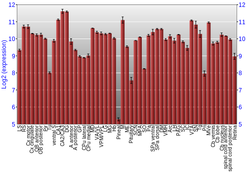 Expression graph