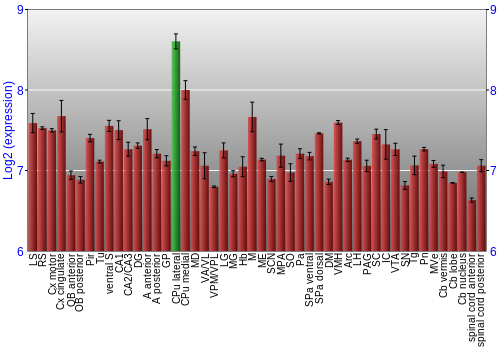 Multi-state expression graph