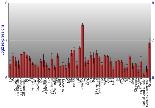 Expression graph