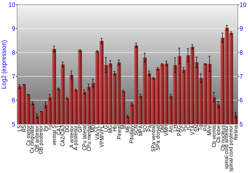 Expression graph