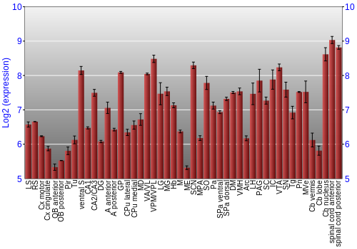 Multi-state expression graph
