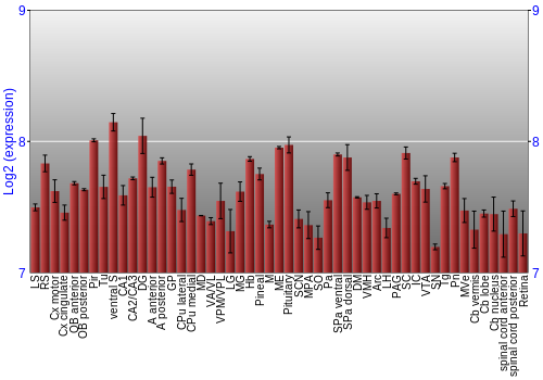 Expression graph