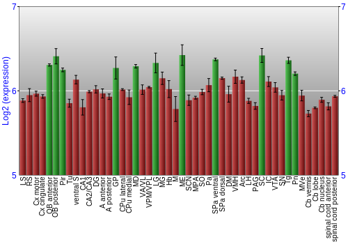 Multi-state expression graph