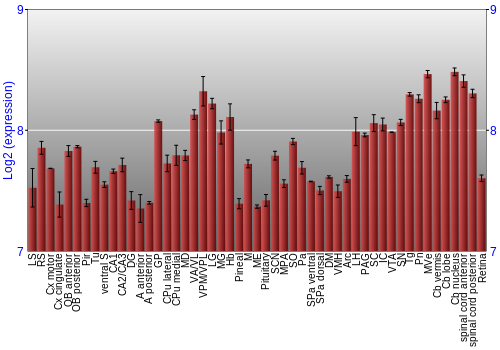 Expression graph
