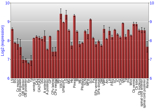 Expression graph