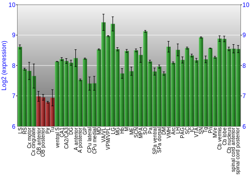 Multi-state expression graph