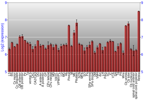 Expression graph