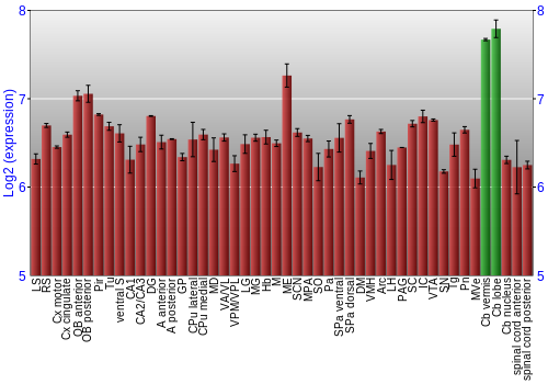 Multi-state expression graph