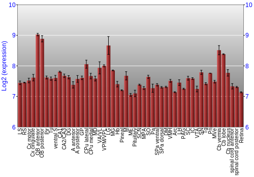Expression graph