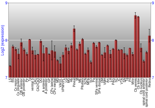 Expression graph