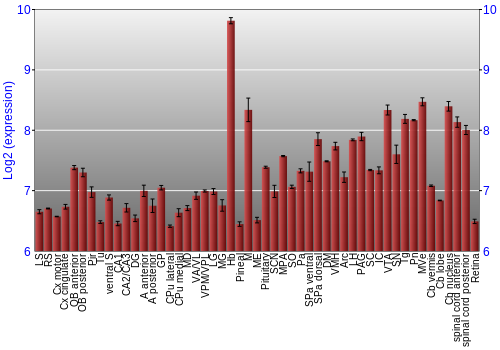 Expression graph
