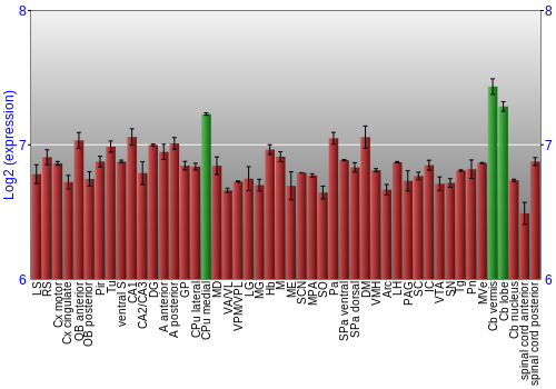 Multi-state expression graph