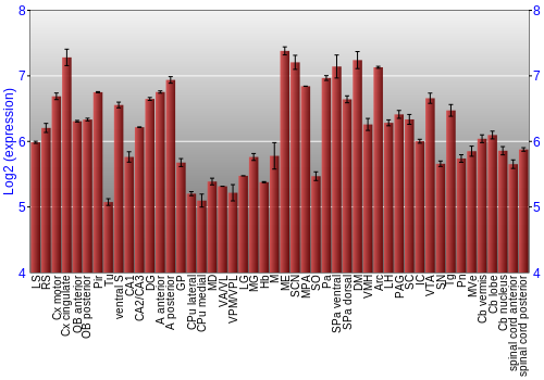 Multi-state expression graph