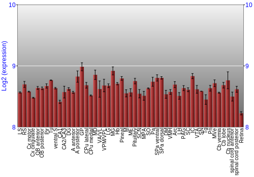 Expression graph