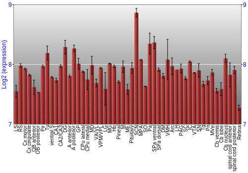 Expression graph