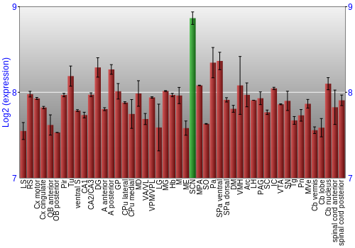 Multi-state expression graph