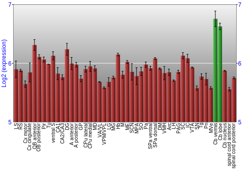 Multi-state expression graph