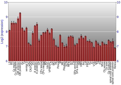 Expression graph