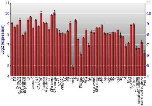 Expression graph