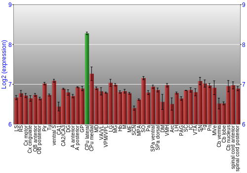 Multi-state expression graph