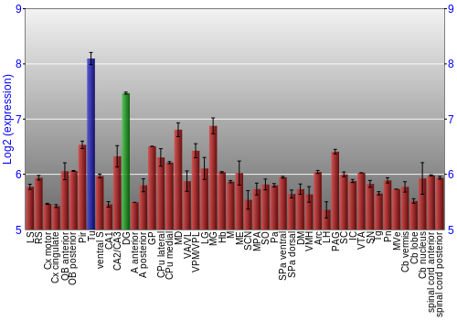 Multi-state expression graph