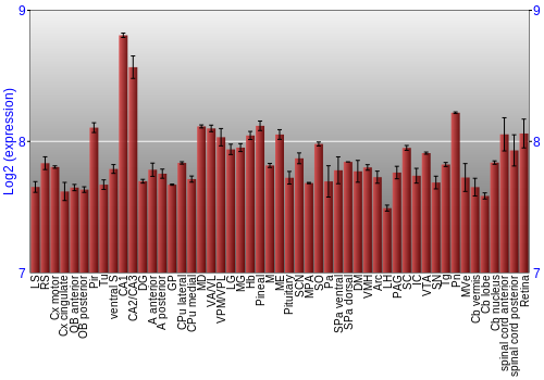 Expression graph